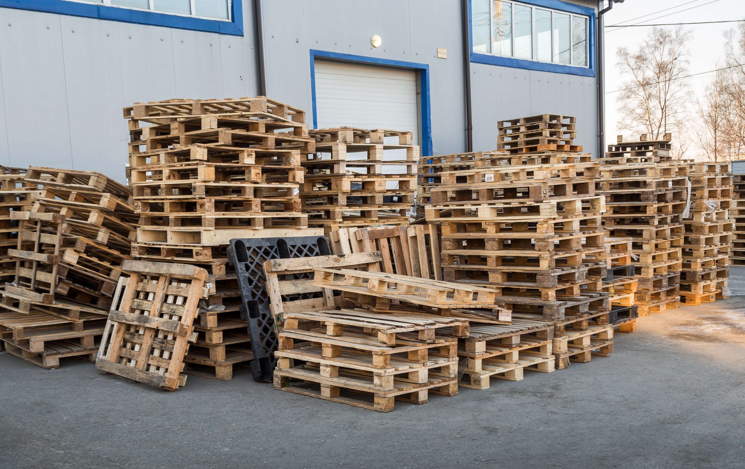 Pallets – What Are Your Options?